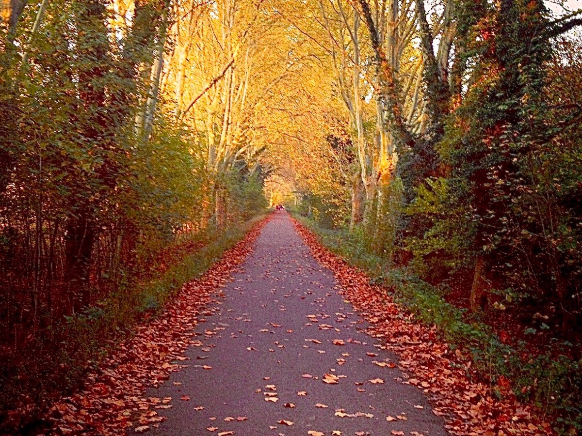Se promener à Strasbourg : parc de&nbsp;Pourtalès